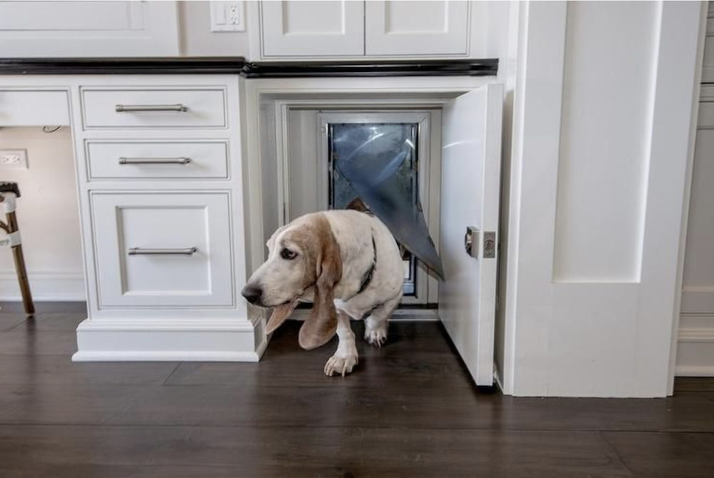 Hidden Cabinet Doggy Door - Cabinet 