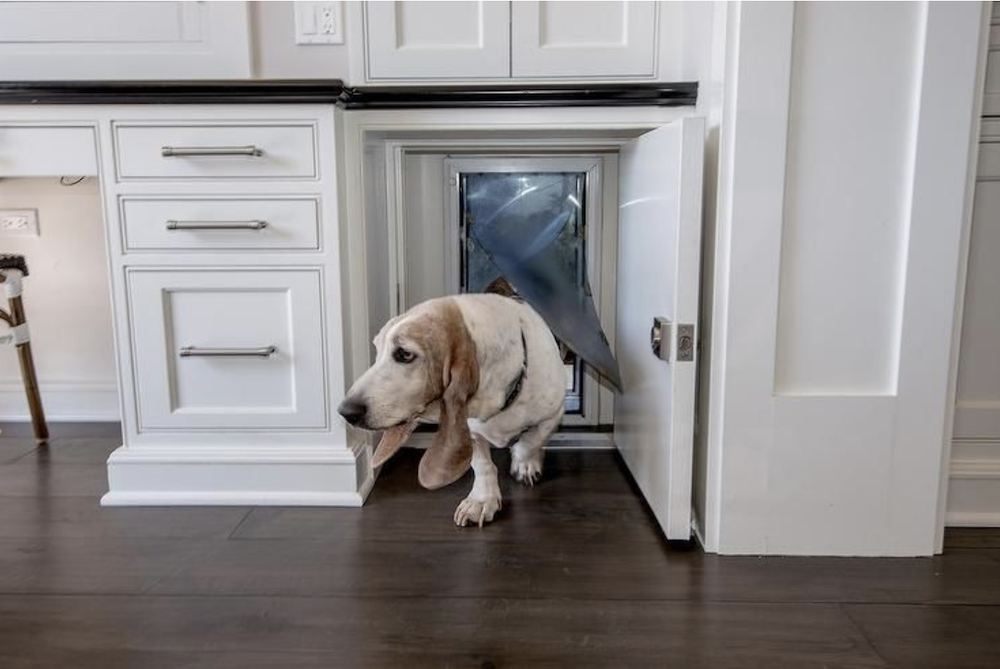 The Best Dog Door for Your Pooch: Do You Have the Right One? – American  Kennel Club
