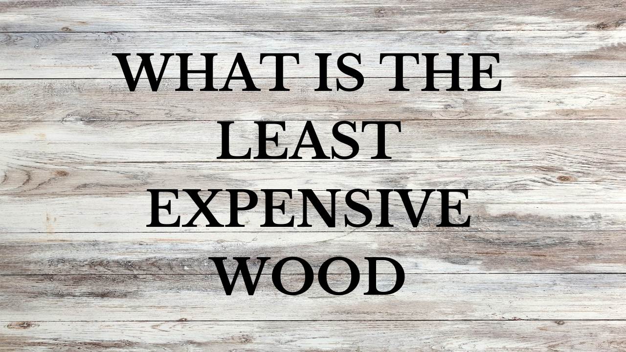 What is the Least Expensive Wood? Now