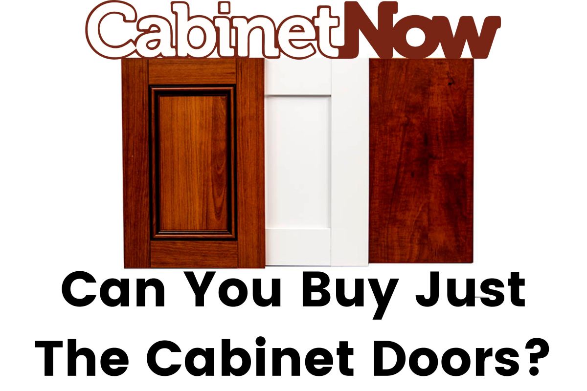 can-you-buy-just-cabinet-doors.jpg