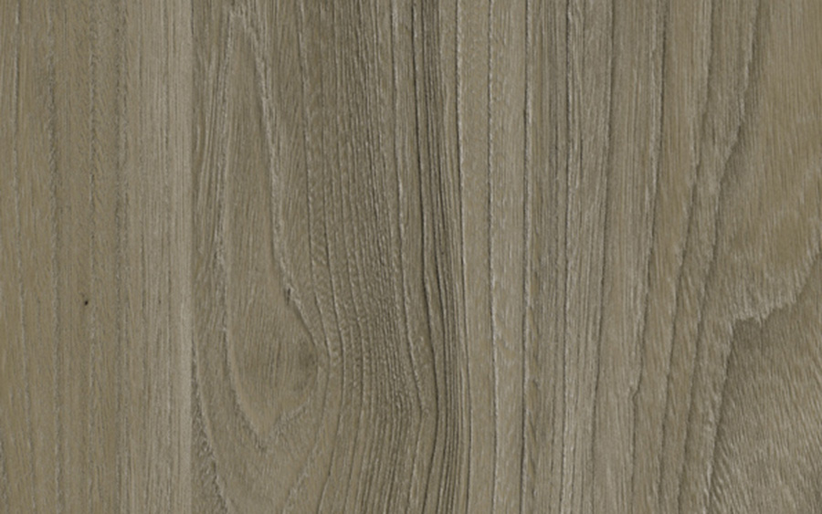 Swiss Elm Dark