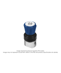 PR2 Pressure Regulator, Single Stage, Brass, 0-10 PSIG PR2-2A11A3C114