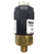 Barksdale Series 96201 Compact Pressure Switch, Single Setpoint, 360 to 1700 PSI, T96201-BB2-T1P1