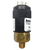 Barksdale Series 96201 Compact Pressure Switch, Single Setpoint, 110 to 500 PSI, T96211-BB6-T1-P1