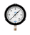 WIKA Type 232.34 XSEL Process Pressure Gauge 0-60 PSI 9834826