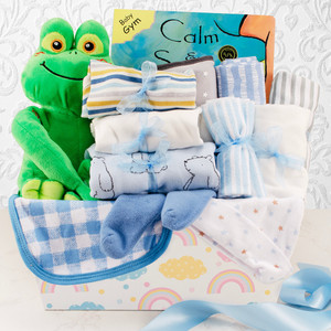 Sweet Beginnings: Baby Boy Gift Basket