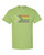 Kiwi T-shirt
