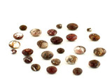 Soft Flex Apx 85 Count Graduated Wild Horse Jasper Rondelles 