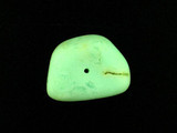  Chrysoprase Smooth Polished Nugget 