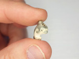 Soft Flex 15x13mm Dolphin Ceramic Teeny Tiny Bead, 1 Count 
