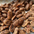 Candied Pecans 1 lb Holiday Tin