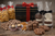 Valentine’s Ultimate Fudge Kitchen Gift Set – Handcrafted Chocolates & Fudge