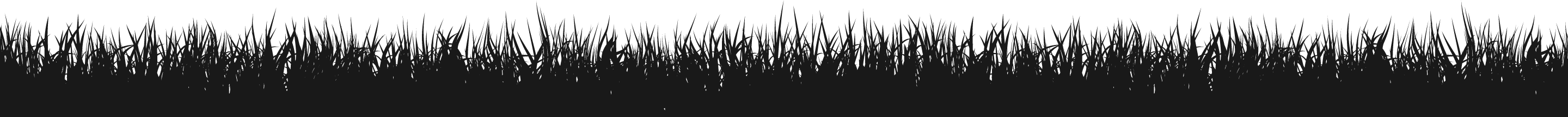 Grass textured strip overlay.