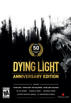  Dying Light Platinum Edition - Nintendo Switch : Square Enix  LLC: Everything Else