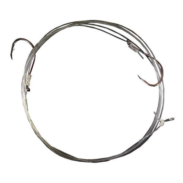 Calcutta Tapon/ Sail Leader