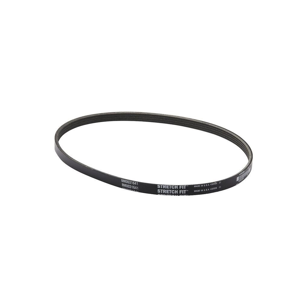 Quicksilver 57-8M0235013 Belt-Serpentine Main Image