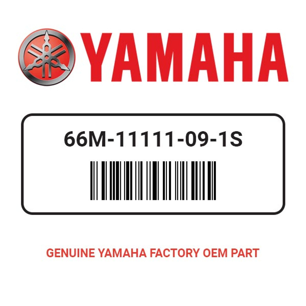 Yamaha 66M-11111-09-1S Head Cylinder 1