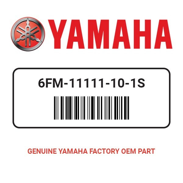 Yamaha 6FM-11111-10-1S Head Cylinder 1