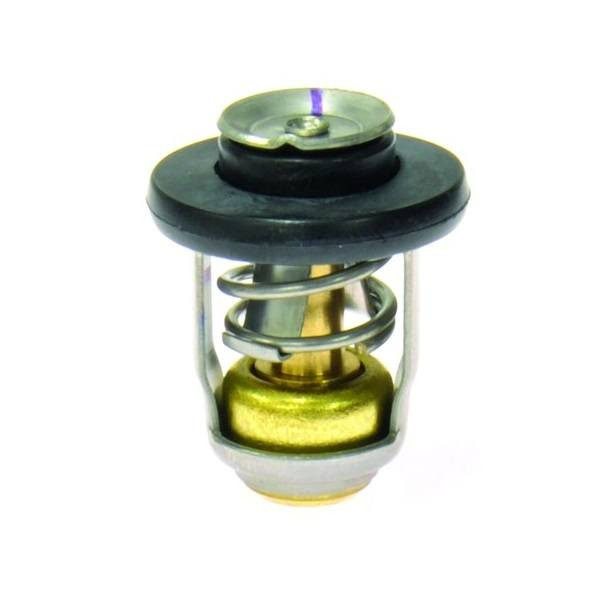 Quicksilver 8M0139434 Thermostat 125°