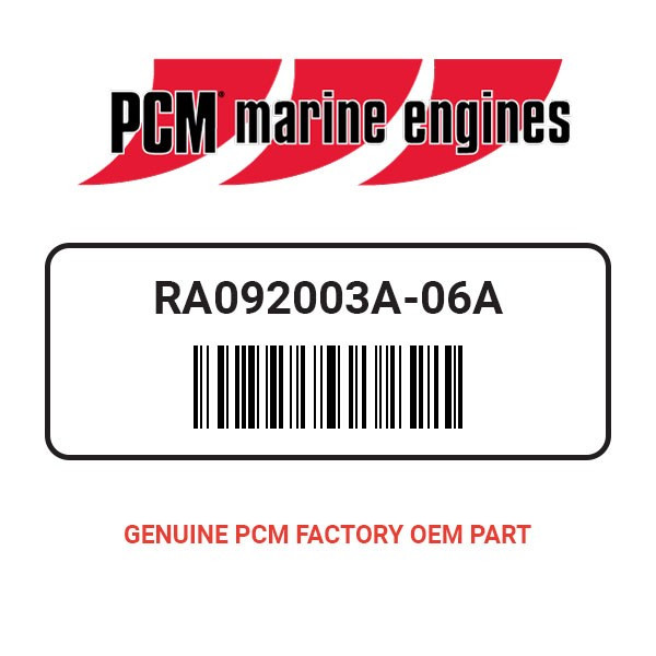 PCM RA092003A-06A SB-LT WSS MOUNT ASSEMBLY