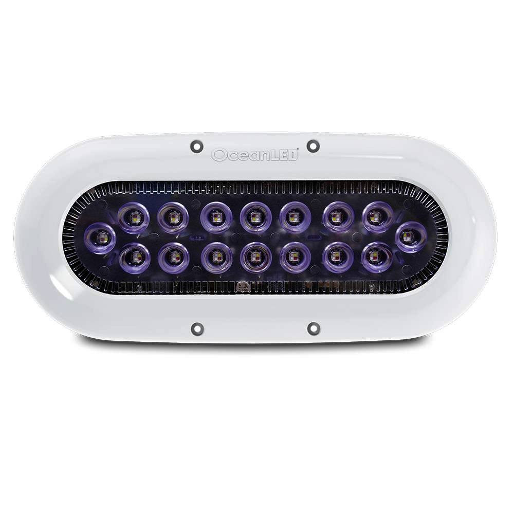 Ocean LED X-Series X16 - Colours LEDs