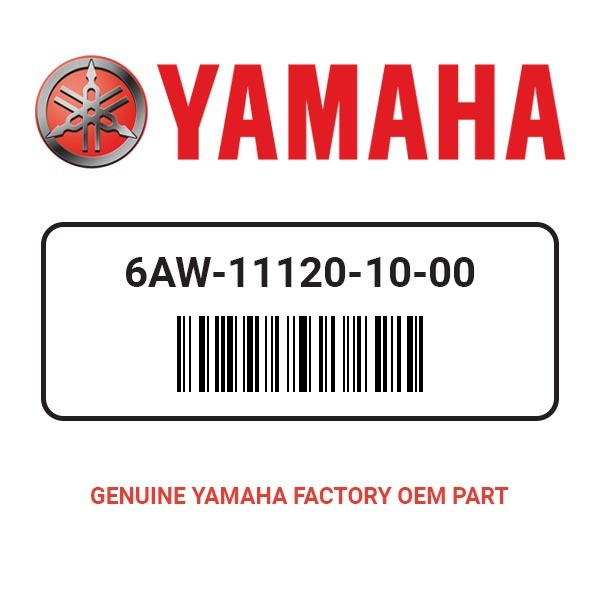 Yamaha 6AW-11120-10-00 Cylinder Head Assy 2