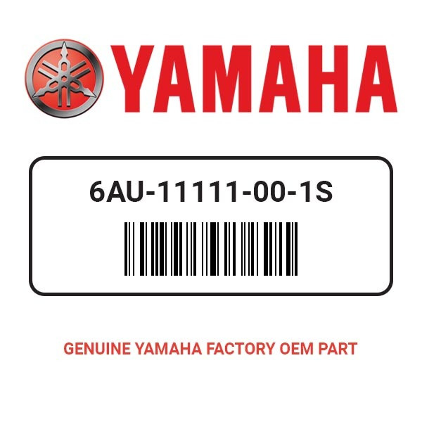Yamaha 6AU-11111-00-1S Head Cylinder 1