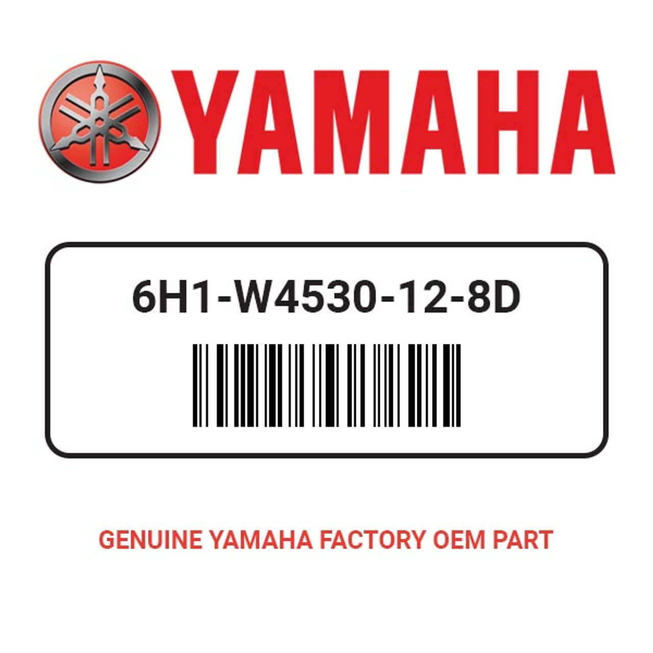 Yamaha 6H1-W4530-12-8D Lower Casing Set