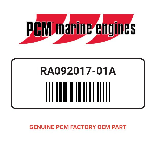 PCM RA092017-01A FRONT DF WSS MOUNT ASSEMBLY