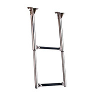Garelick Out Of Sight Telescoping Ladder 2 steps
