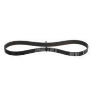 Quicksilver 8M0232583 Serpentine Belt Quicksilver 8M0232583 Serpentine Belt