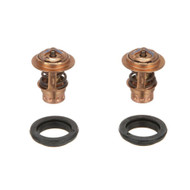 Mercury 75692T2 Thermostat Kit Image