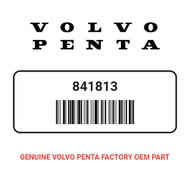 Volvo Penta 841813 Pulley