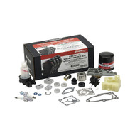 Mercury 8M0151470 300-Hour Service Kit 15-20 EFI Image