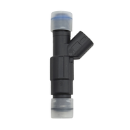 PCM RA087007 5.0/5.7L IAFM FUEL INJECTOR Image