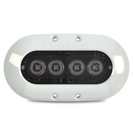 OceanLED X4 Series Underwater Lighting - White Bezel - Colours