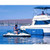 HULL HUGR Medium Fold-Up Boat Fender Lifestyle