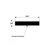 TACO Neoprene Boat Hatch Seal Tape 3/4" x 1/8" -Diagram