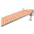 Patriot Docks Gray Aluminum Shore Ramp Kit Image