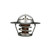 Quicksilver 8M0109441 Thermostat Image