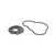 Quicksilver 47-8M0137219 Impeller Kit image