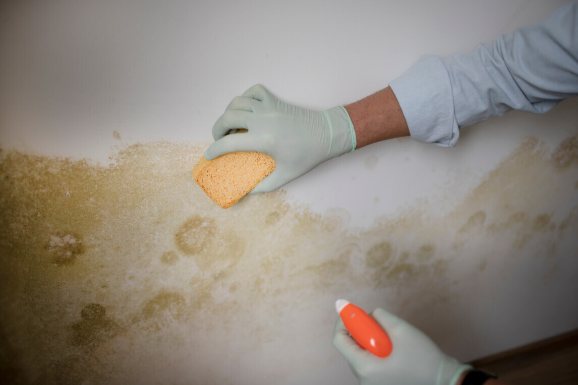 Boat mildew prevention