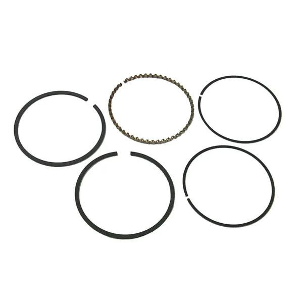 Sierra 18-3928 Piston Rings