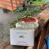 Grapefruit Rosemary Soap