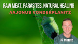 Raw meat, Aajonus Vonderplanitz, Parasites, and leaders