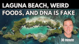 Laguna beach, fake dna, and fake foods