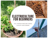 Electroculture Gardening Techniques for Beginners - Elevate your garden