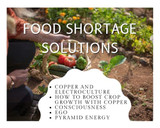 New Rumble Video on Community, Pyramid Energy, Plant growth, Electroculture, and more