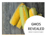 GMOS and the dangers