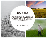 New Rumble Video: Borax, chemical farming, arthritis, & lunar eclipse